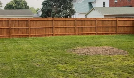 Fence Repair 1